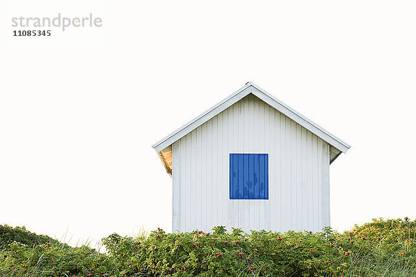 Häuschen mit blauem Fensterladen