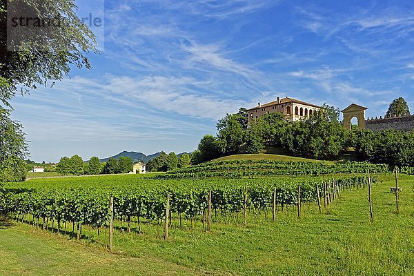 Villa dei Vescovi  Torreglia  Euganeische Hügel  Venetien  Italien  Europa