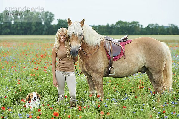 Junge Frau mit Pferd und Hund  Bayern  Deutschland  Europa