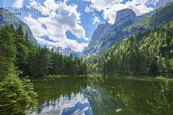 Gosausee und Alpen  Österreich  Europa