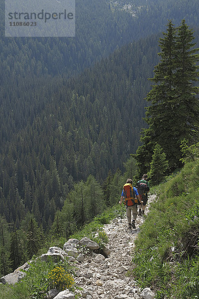 Rückansicht von Menschen  die auf einem Gehweg auf dem Berg gegen das Tal gehen.