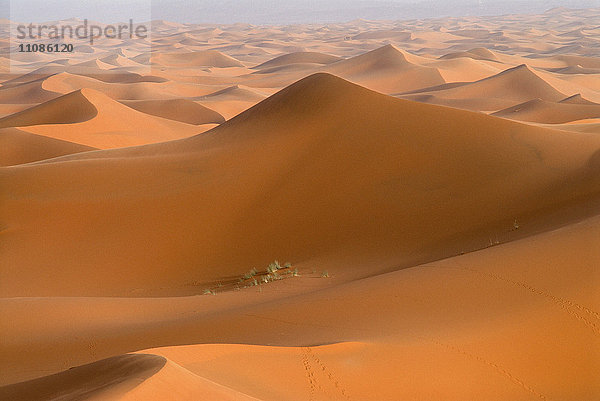 Blick auf die Dünen von Erg Chebbi  Marokko