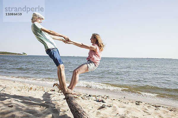 Freunde halten sich an den Händen  während sie auf Treibholz am Strand gegen den klaren Himmel stehen.