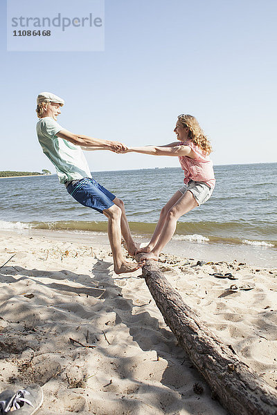 Freunde genießen auf Treibholz am Strand gegen den klaren Himmel