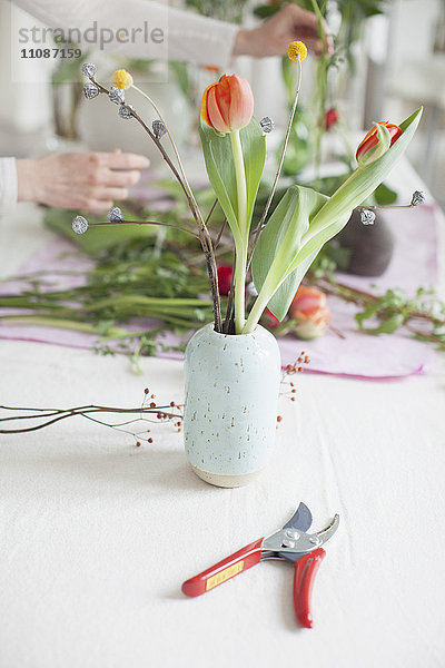 Baumschere mit Vase und Frau  die zu Hause Blumen im Hintergrund anordnet