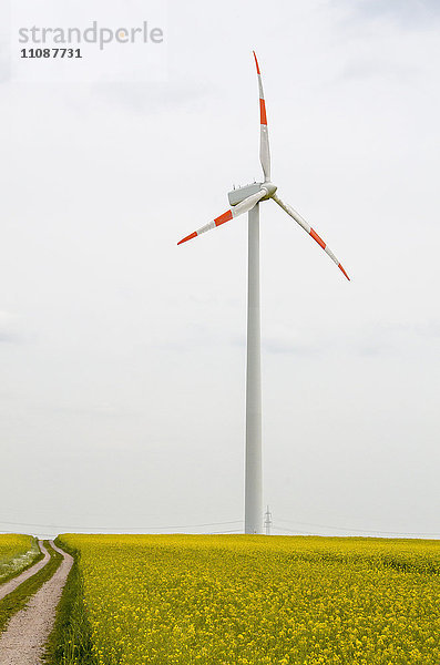 Windkraftanlage auf Ölfeld gegen den Himmel