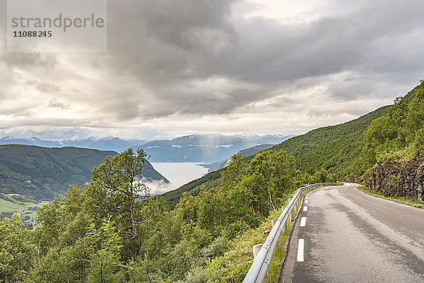 Norwegen  Sogn og Fjordane  Sognefjord  Straße