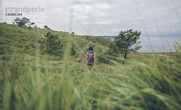 Spanien  Asturien  Rückansicht der Frau mit Rucksackwandern auf grünen Hügeln