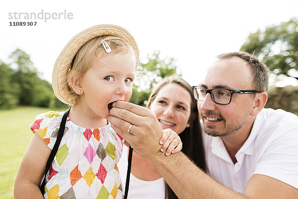 Glückliche Familie im Park  Vater füttert Tochter