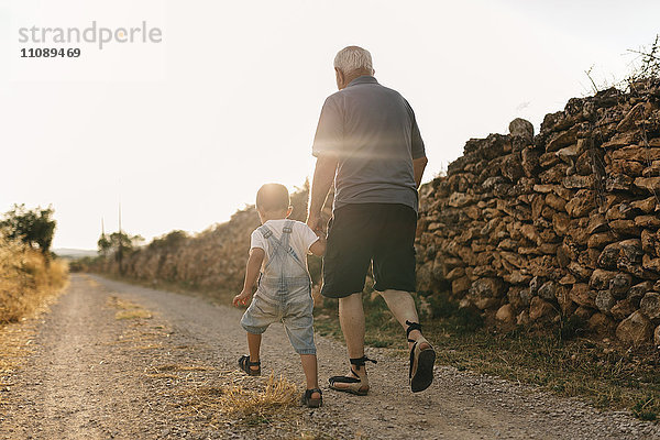 Rückansicht des kleinen Jungen und seines Urgroßvaters  der im Gegenlicht auf einem Feldweg läuft.