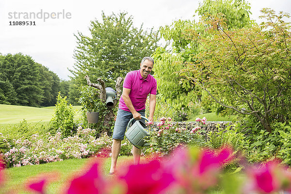 Lächelnder Mann  der seine Rosen im Garten gießt.