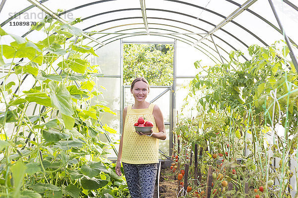 Glückliche Frau mit einer Schale geerntete Tomaten im Gewächshaus