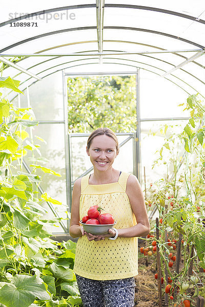 Lächelnde Frau mit Schale mit geernteten Tomaten im Gewächshaus