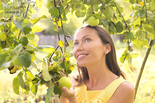 Lächelnde Frau unter einem Apfelbaum