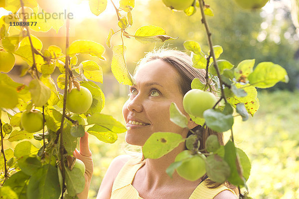Lächelnde Frau unter einem Apfelbaum