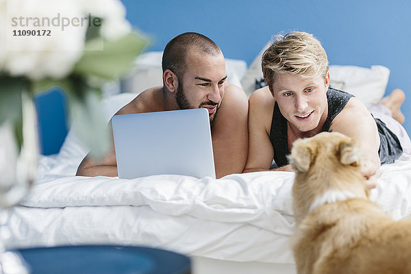 Schwules Paar mit Hund im Bett liegend  mit Laptop