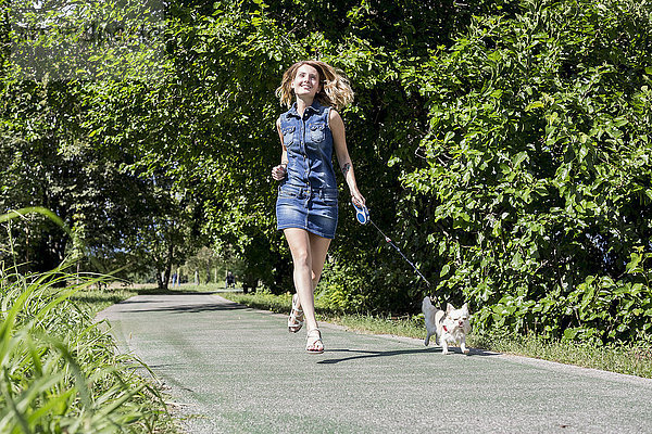 Glückliche Frau geht mit ihrem Chihuahua spazieren.