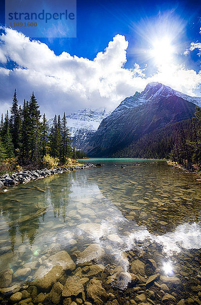 Kanada  Alberta  Jasper Nationalpark  Cavell Lake