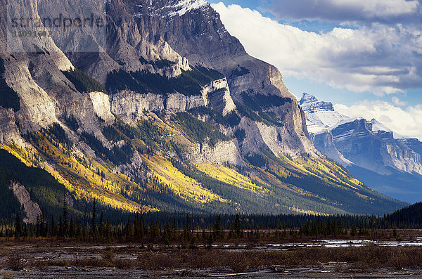 Kanada  Alberta  Jasper Nationalpark  Berge am Icefield-Parkway