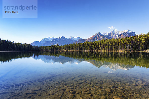 Kanada  Alberta  Herbert Lake