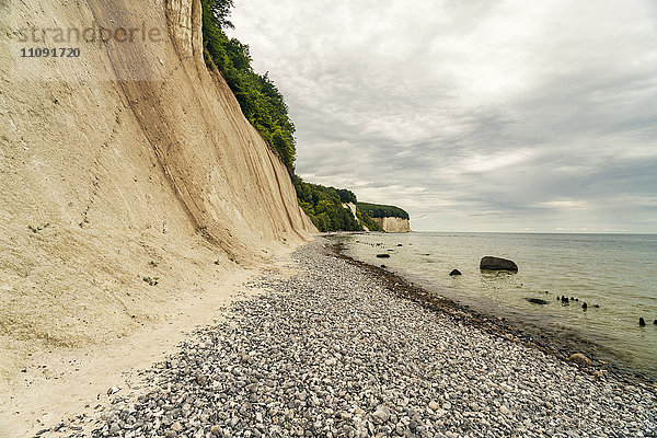 Deutschland  Mecklenburg-Vorpommern  Rügen  Ostsee  Sassnitzer Kreideküste  Steinstrand