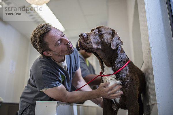 Tierarzt mit braunem Hund