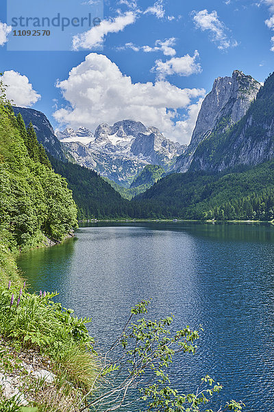 Gosausee und Alpen  Österreich  Europa