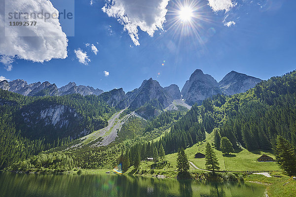 Gosausee und Alpen  Österreich  Europa