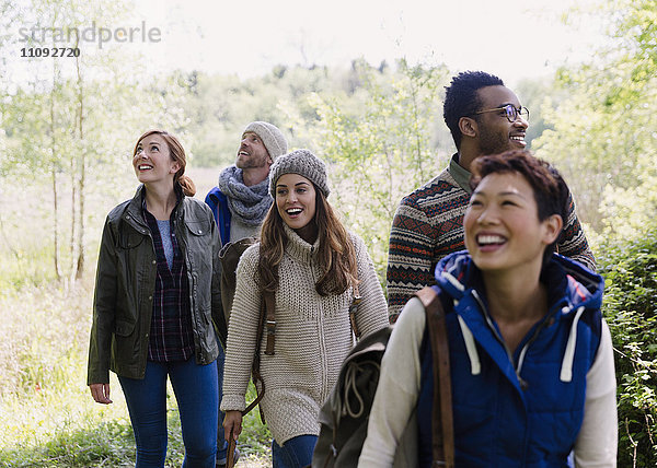 Freunde beim Wandern im Wald