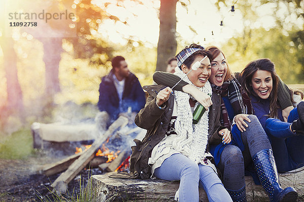 Freunde lachend Marshmallows am Lagerfeuer braten