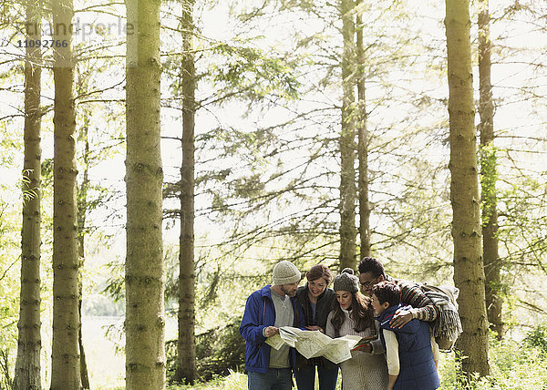 Freunde mit Karte Wandern im Wald