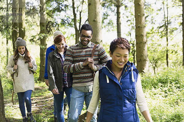 Freunde beim Wandern im Wald