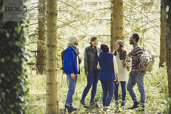 Freunde beim Wandern im sonnigen Wald