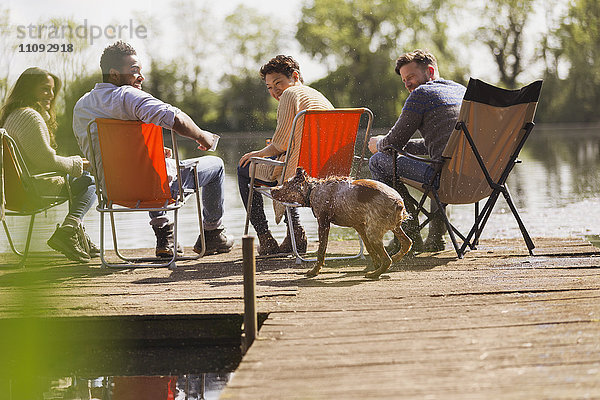 Freunde und Hund am sonnigen Ufer des Sees