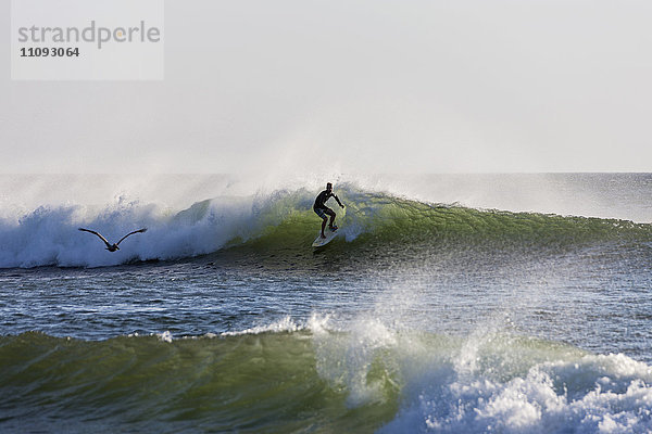 Mann surft auf einer Welle im Meer  Samara  Costa Rica