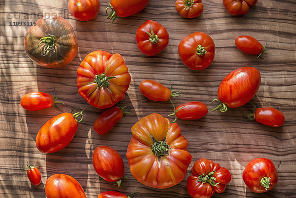 Direkt über der Aufnahme einer Tomatensorte auf dem Tisch  München  Bayern  Deutschland