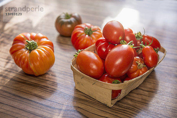 Nahaufnahme Tomaten in Korb auf Tisch  München  Bayern  Deutschland