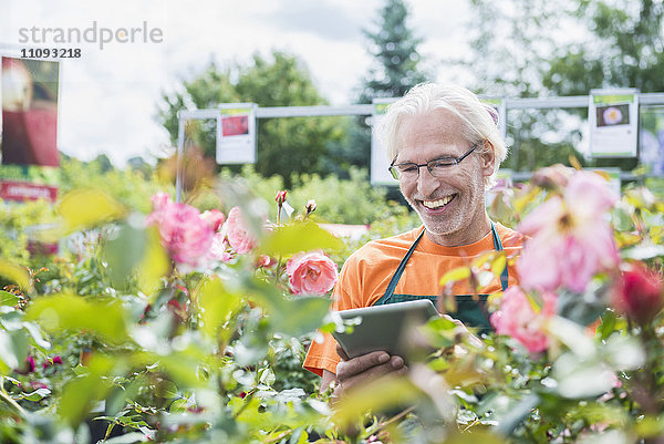 Männlicher Gärtner bei der Überprüfung des Inventars mit einem digitalen Tablet in einem Gartencenter  Augsburg  Bayern  Deutschland