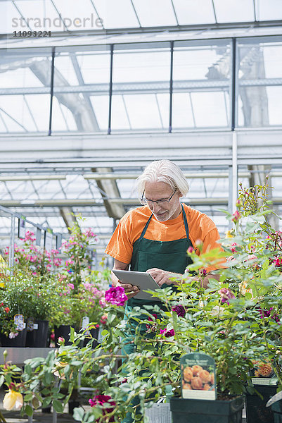 Männlicher Gärtner bei der Überprüfung des Inventars mit einem digitalen Tablet in einem Gartencenter  Augsburg  Bayern  Deutschland