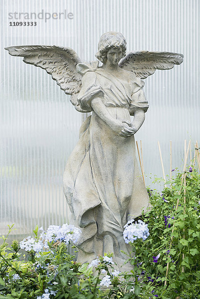 Engelsstatue mit Pflanzen im Gartencenter  Augsburg  Bayern  Deutschland