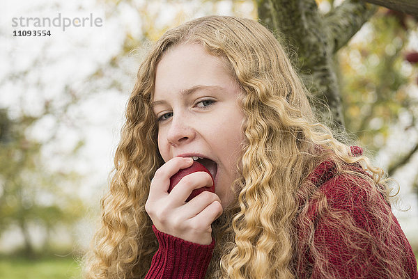 Porträt eines blonden Teenagers  der in einen Apfel in einem Apfelgarten beißt