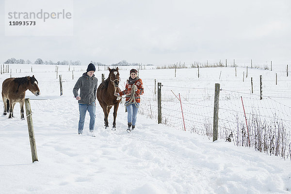 Junges Paar beim Spaziergang mit Pferden auf einem Feld  Bayern  Deutschland