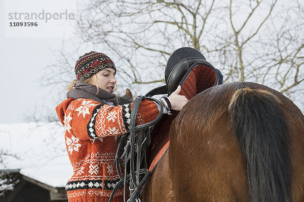 Junge Frau sattelt ihr Pferd zum Reiten im Winter  Bayern  Deutschland