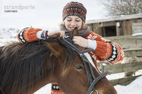 Junge Frau passt das Zaumzeug ihres Pferdes für den Ausritt an  Bayern  Deutschland