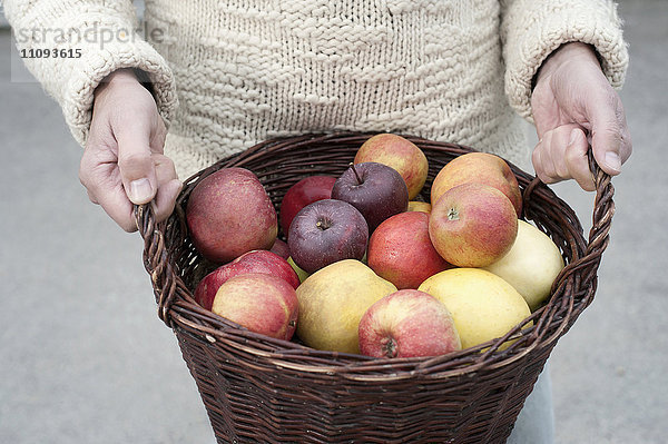 Mittelteil eines Mannes  der einen Korb voller Äpfel in den Händen hält  vor einem Naturkostladen