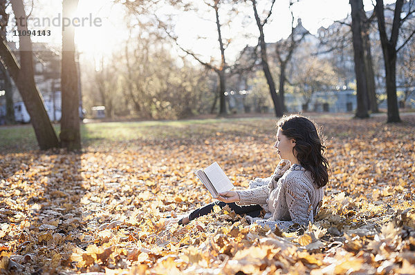 Ältere Frau liest ein Buch im Liegen auf gefallenen Blättern im Park  Bayern  Deutschland