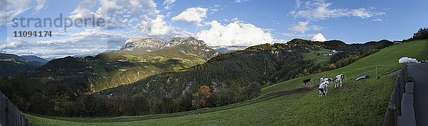 Panoramablick auf eine Bergkette  Südtirol  Dolomiten  Italien