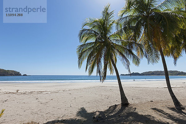 Palmen am Strand  Samara  Costa Rica