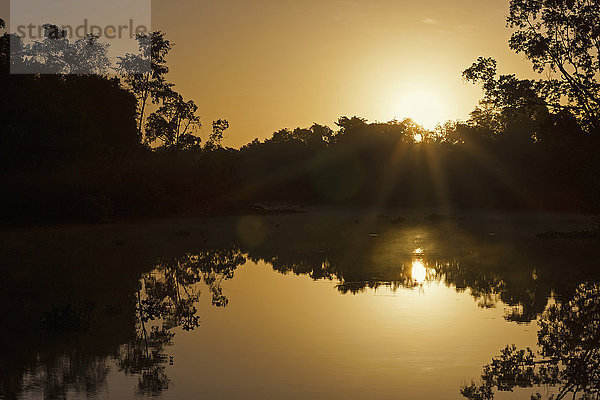Blick auf den Sonnenaufgang über dem Fluss Orinoco  Orinoco-Delta  Venezuela