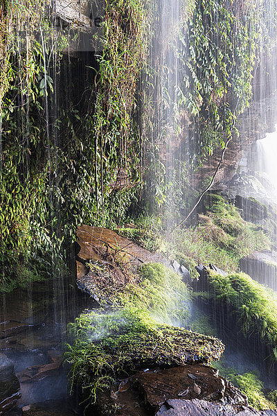 Wasserfall  Canaima-Nationalpark  Bundesstaat Bolivar  Venezuela